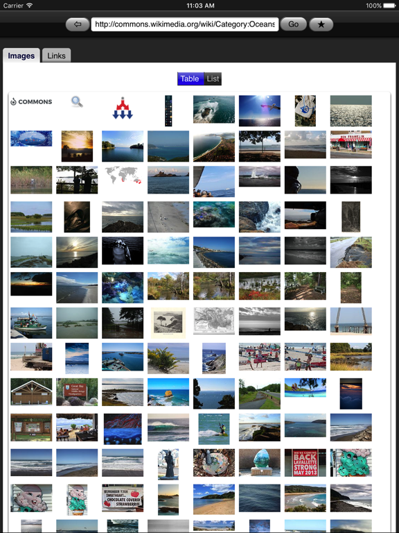 Screenshot #4 pour Web Images
