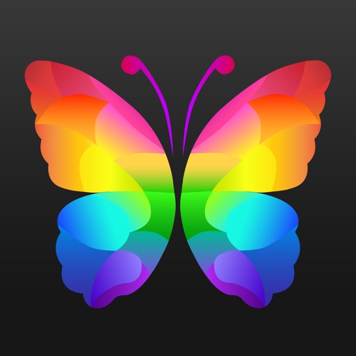 Everpix Cool Live Wallpaper 4K