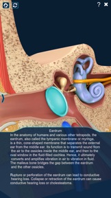 My Ear Anatomy screenshot