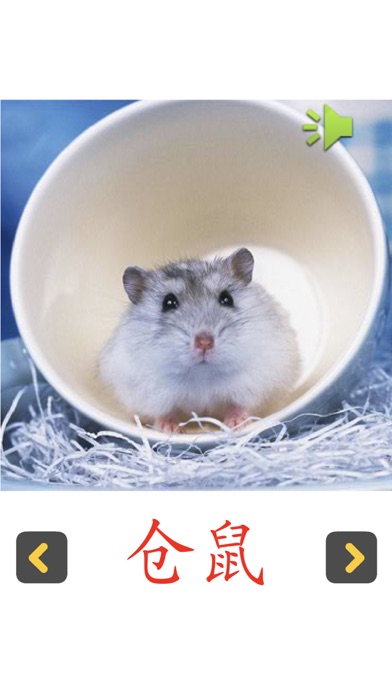 Screenshot #3 pour 认知卡认识动物