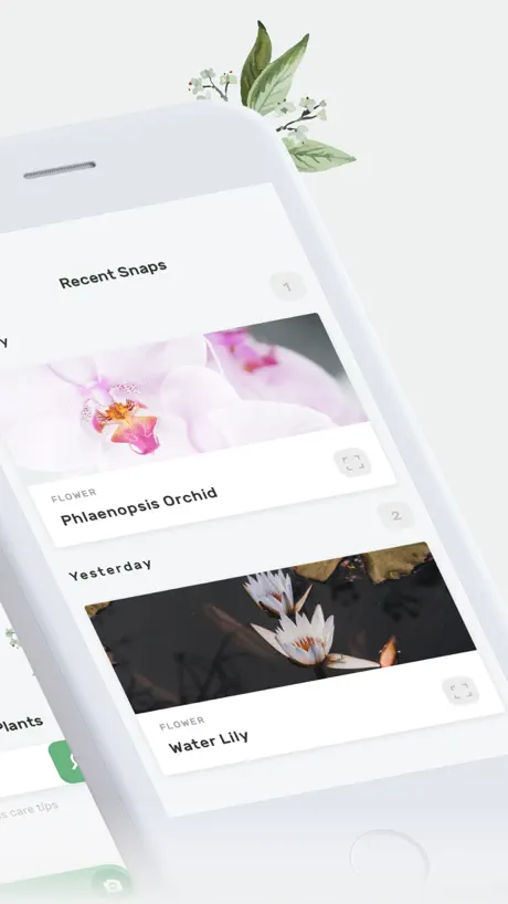 Botanis - Identifier Plantes