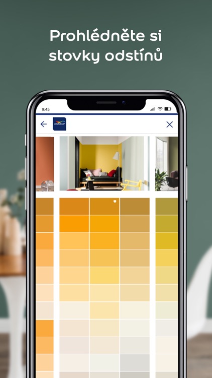 Dulux Visualizer CZ