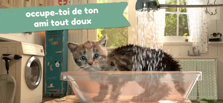 Petit chaton - Jeux d'aventure