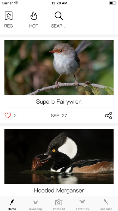 Screenshot #1 pour Bird ID-Picture&Audio