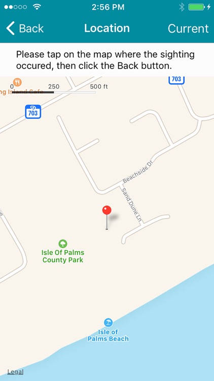 Dolphin Count screenshot-3