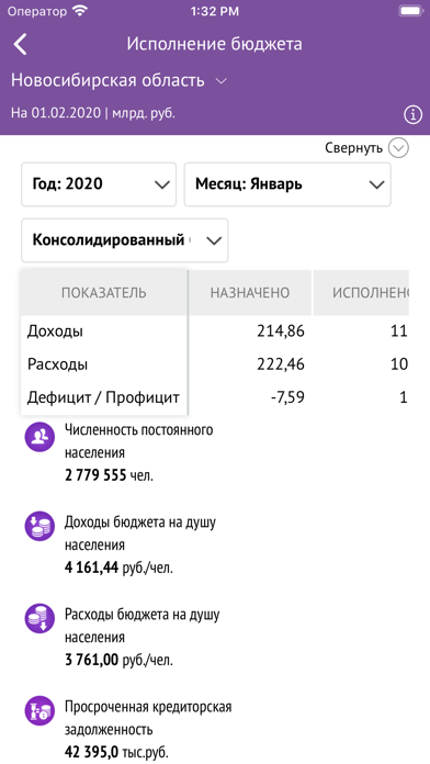 Бюджет Новосибирской области Screenshot