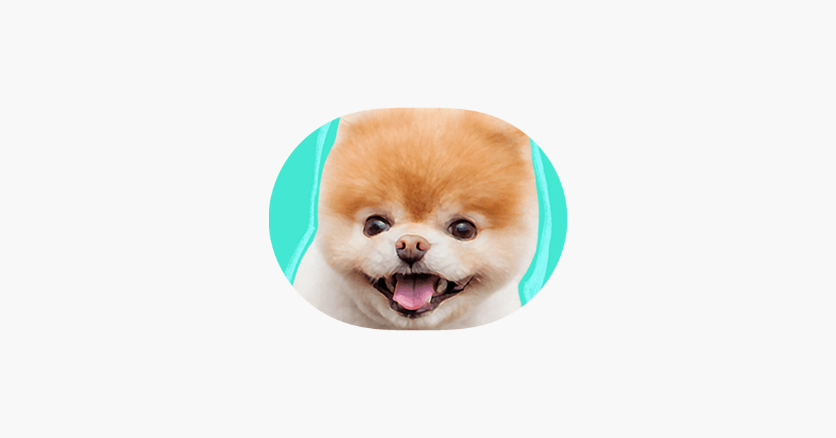 App Store: Boo: World's Cutest Dog