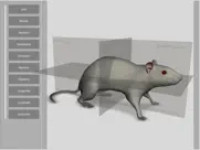 3d rat anatomy ipad images 1