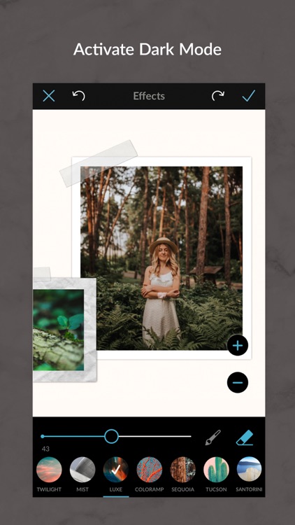PicMonkey Photo Editor Design