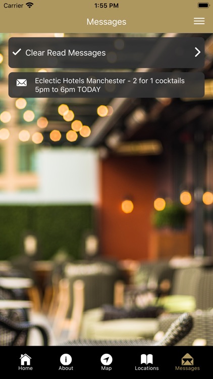 Eclectic Hotel Collection screenshot-6