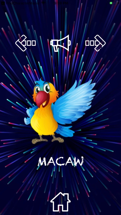 LearnConcepts screenshot-5