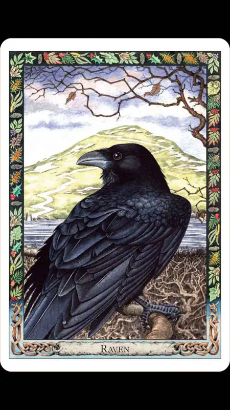 Druid Oracle Cards screenshot 2 of 5