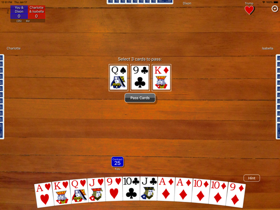 Pinochle Classic iPad screenshot 5 - Games app
