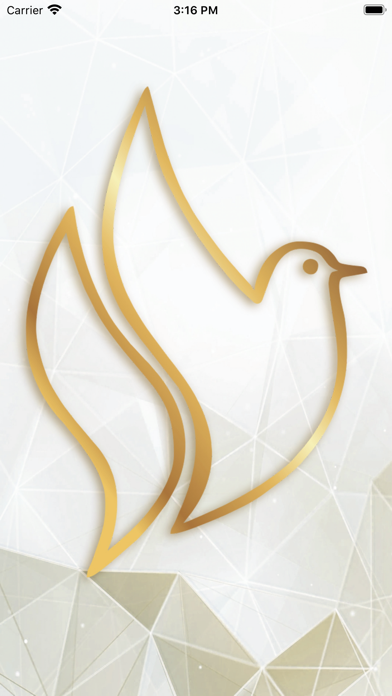 YHS APP Screenshot
