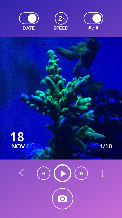 Aquarium Time screenshot 3