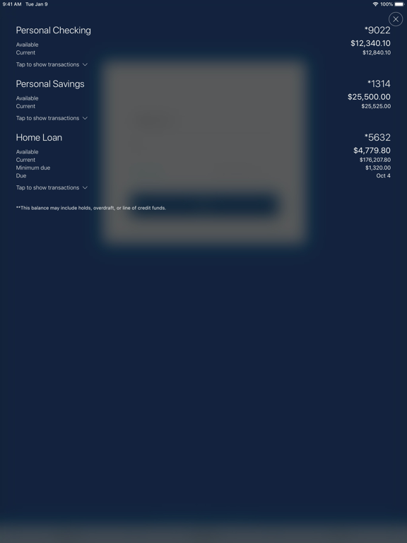 Sunmark Mobile iPad screenshot 1 - Finance app
