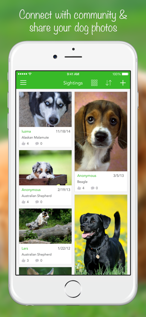 ‎Снимка на екрана на iKnow Dogs 2 PRO