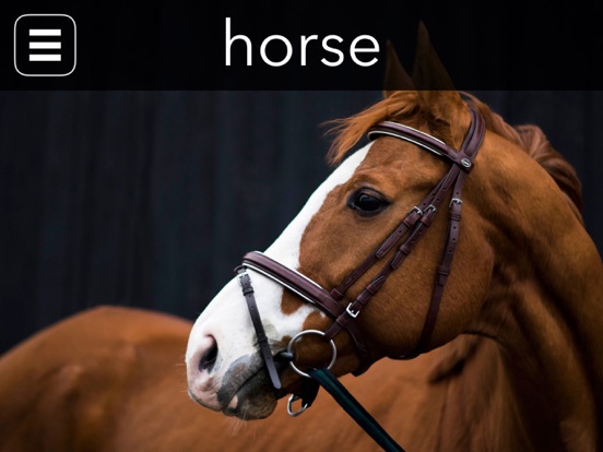 Screenshot #5 pour The Big Picture Book