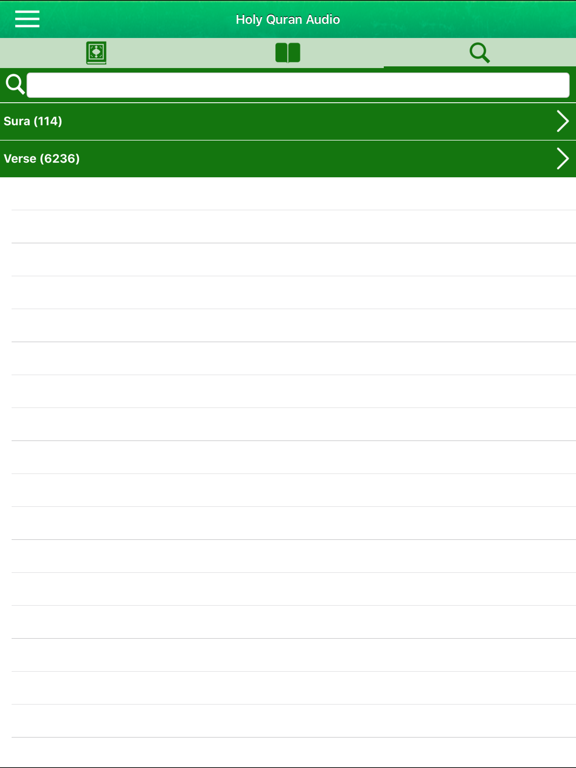 Quran Audio mp3 Pro in Russian iPad screenshot 7 - Book app