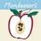 Icon Montessori Parts of Fruits