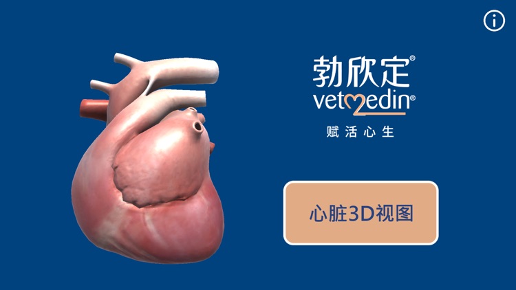 勃欣定3D心脏模型