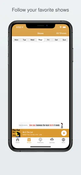 Game screenshot 96.5 The Cat hack
