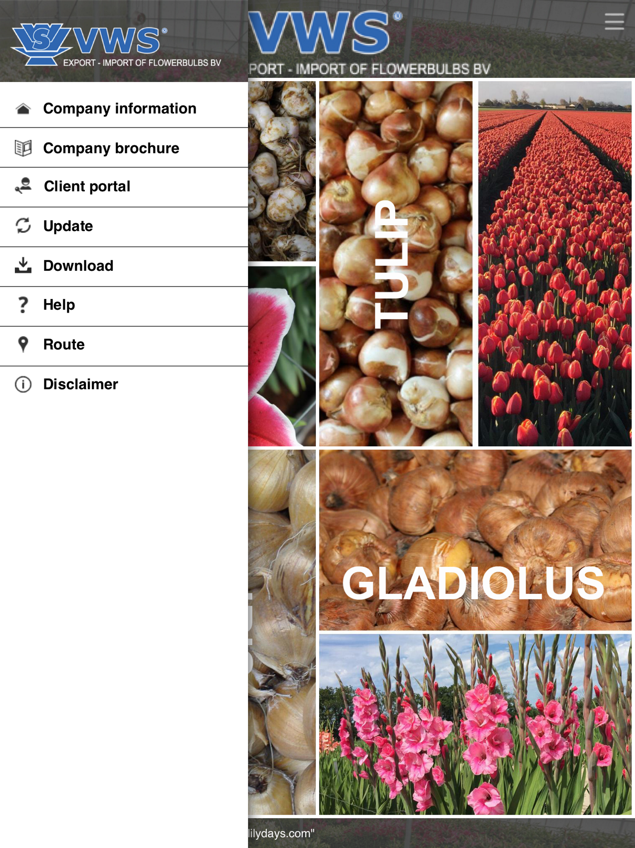 Flower Bulb Pics and Info