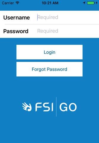 FSI GO - náhled