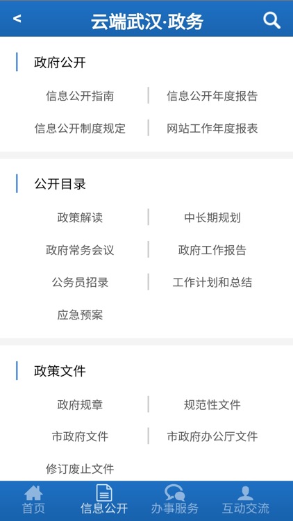 云端武汉·政务