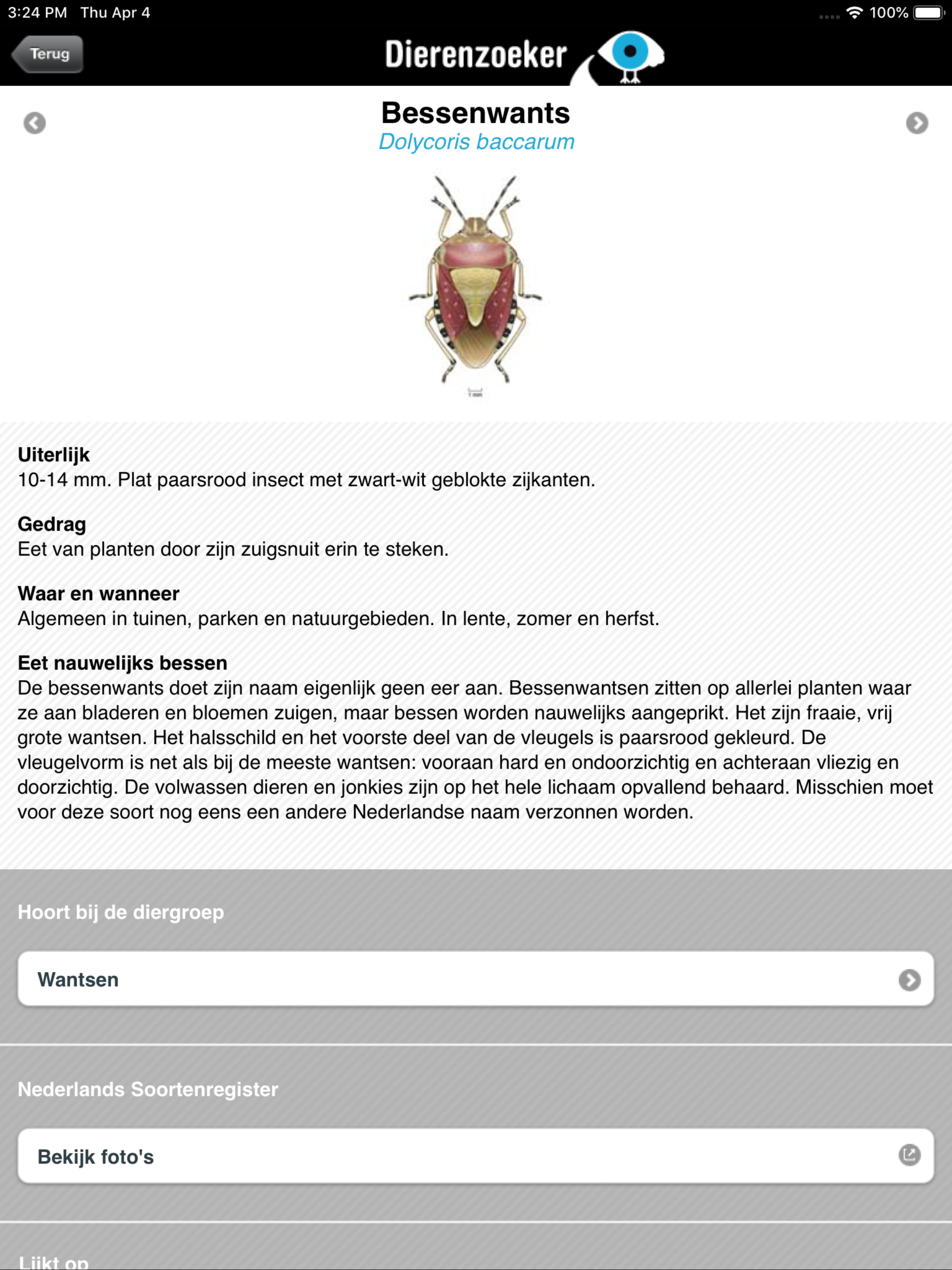 https://is1-ssl.mzstatic.com/image/thumb/Purple113/v4/21/38/19/213819f9-e477-2e81-0b57-b8eb7eb08ab1/pr_source.png/2048x2732.png