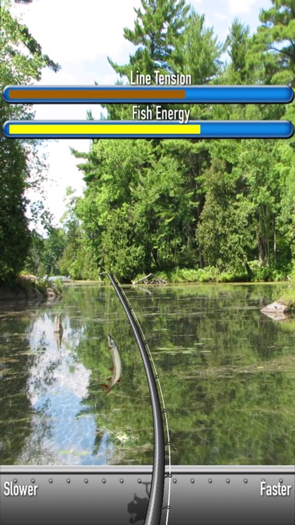 iFishing 5 screenshot-5