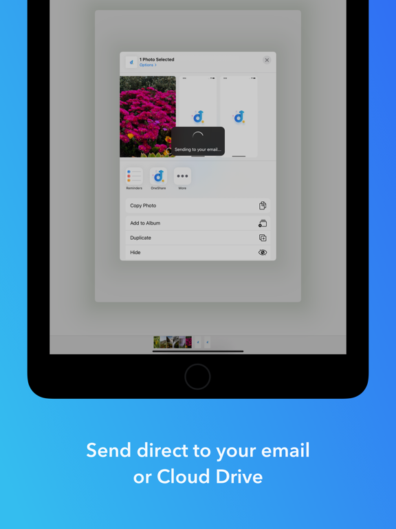Screenshot #5 pour OneShare - Files, Text, Pics