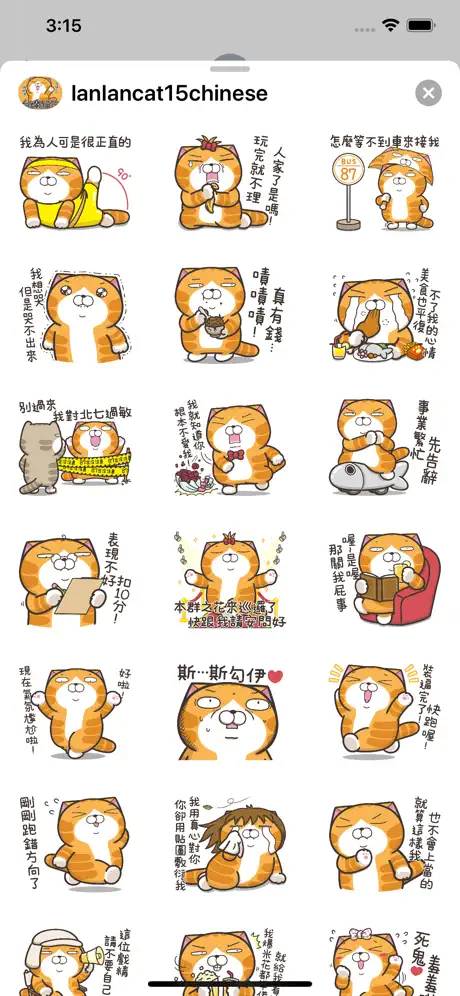 白爛貓15 - 超愛玩