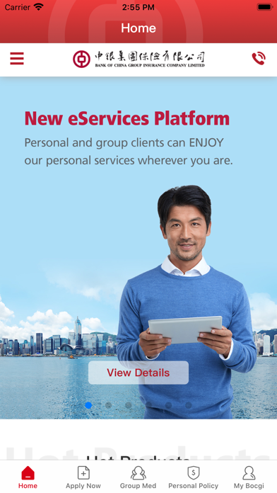 Bank of China Group Ins Co Ltd Screenshot