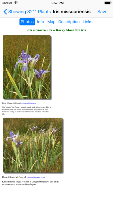 New Mexico Wildflowers Screenshot