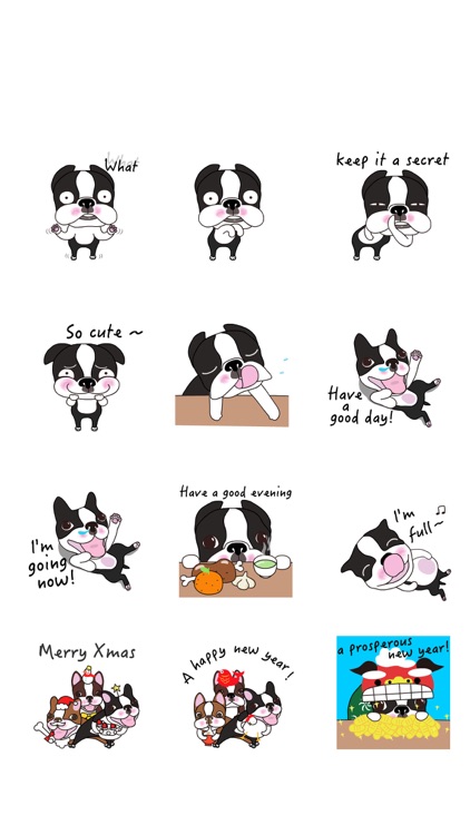 Animated Boston Terrier 2 screenshot-5