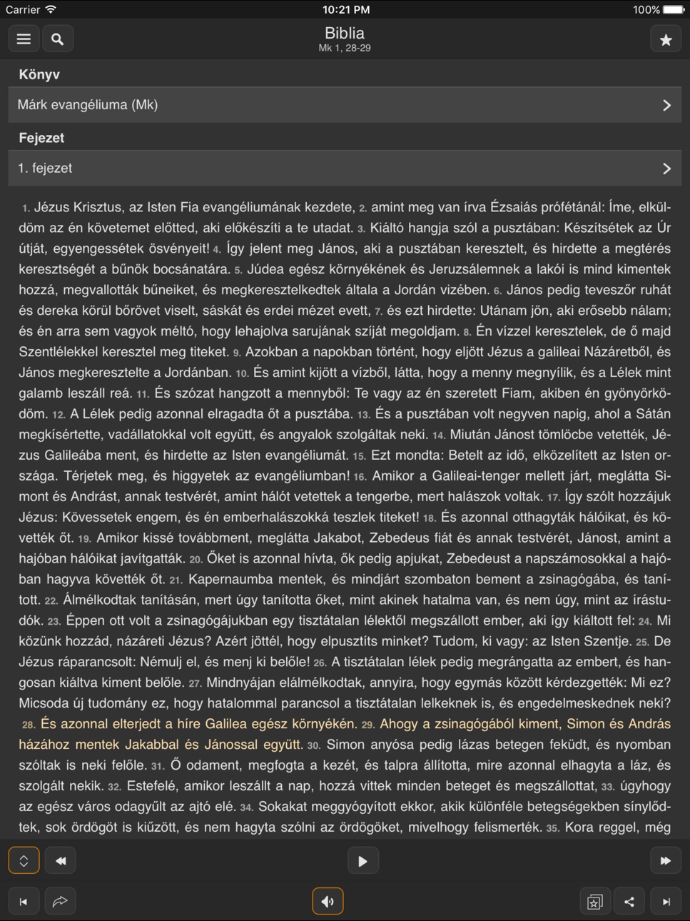 iPad screenshot