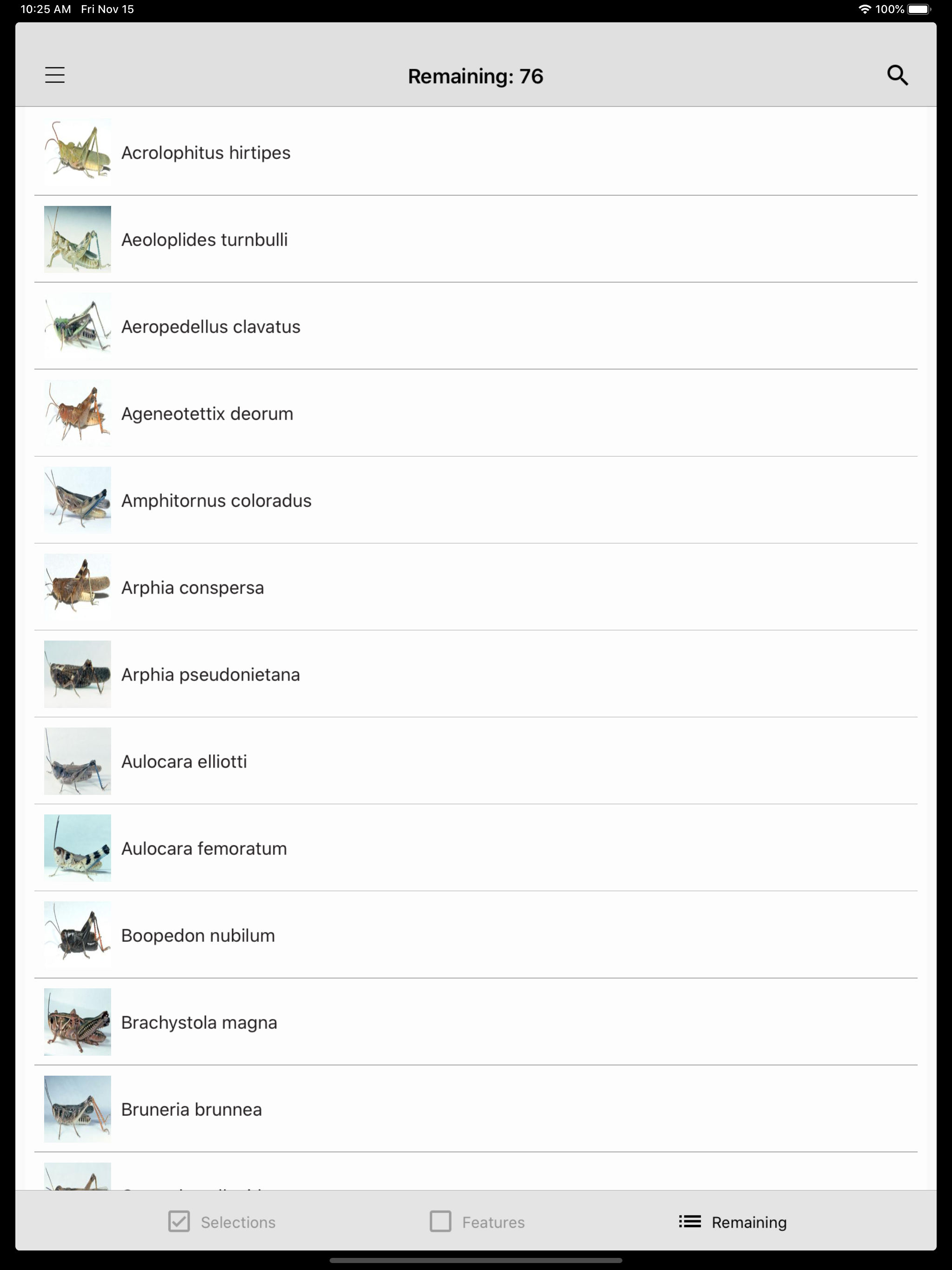 Grasshoppers of the Western US