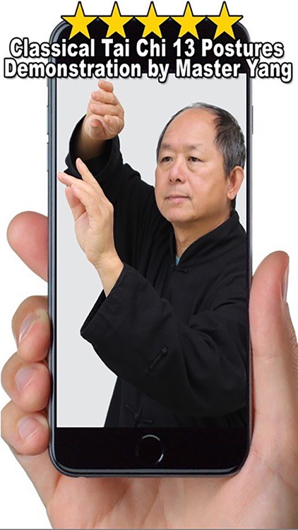 Tai Chi 13 Postures screenshot-3