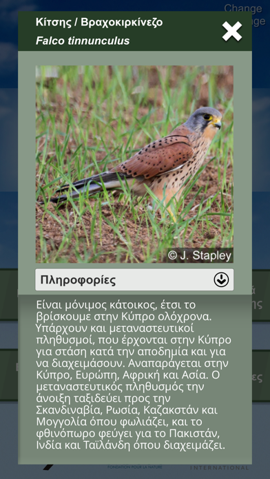 Screenshot #3 pour Feathered Journeys