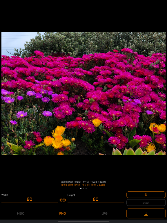 Screenshot #5 pour ImageConverter