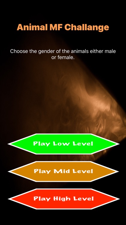 Animal MF Challange