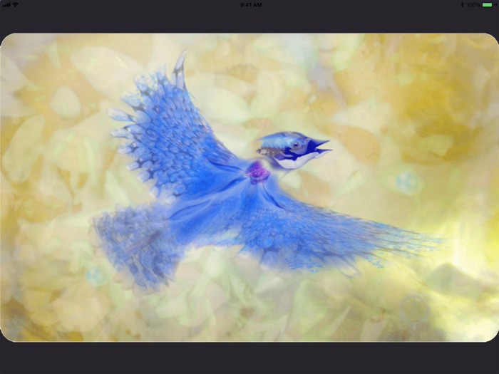 Animal Totems Empowerment Deck