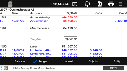 Rosetta SIE-XBRL/GL Viewer Screenshot
