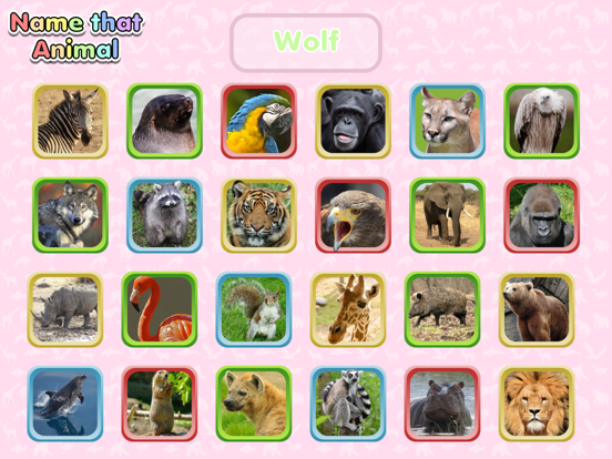 Wild Animal Preschool Games iPad screenshot