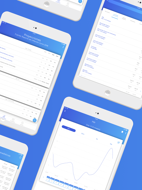 Screenshot #6 pour BCRPData
