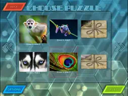 HexLogic - Zoo screenshot 9