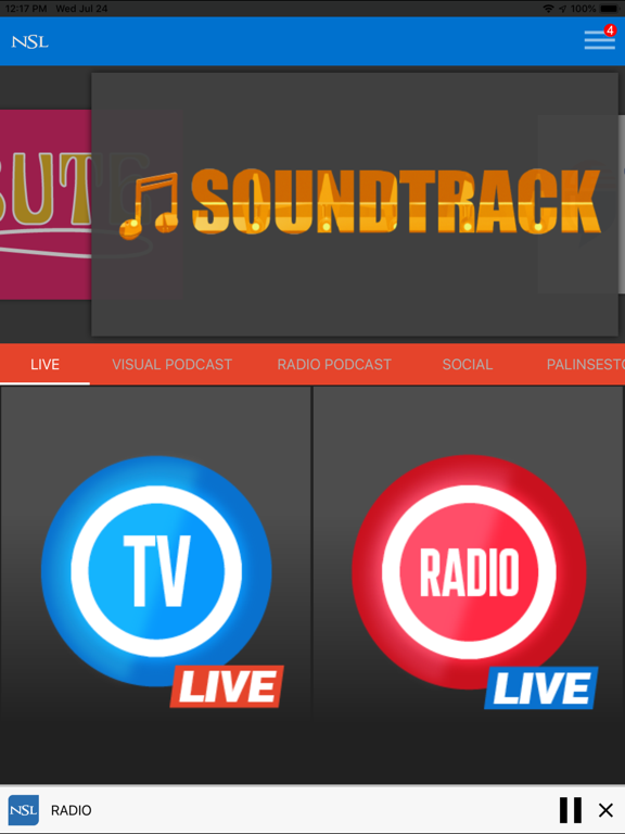 Screenshot #5 pour NSL Radio TV