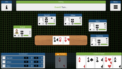 How to cancel & delete 25 / 45 Card Game - Irish25s from iphone & ipad 1