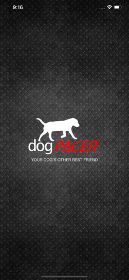 Game screenshot Dog Pacer mod apk